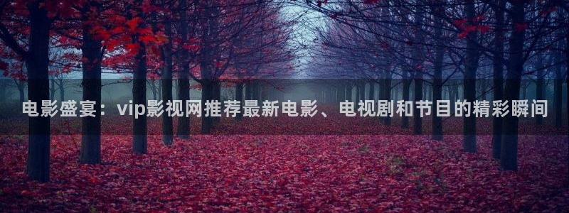 日照保利影城今日影讯：电影盛宴：vip影视网推荐最新电影、电视剧和节目的精彩瞬间