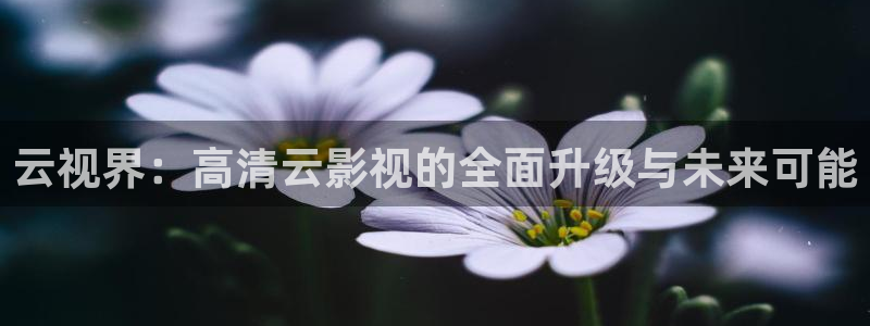 保利电影