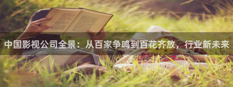 上海保利国际影院：中国影视公司全景：从百家争鸣到百花齐放，行业新未来
