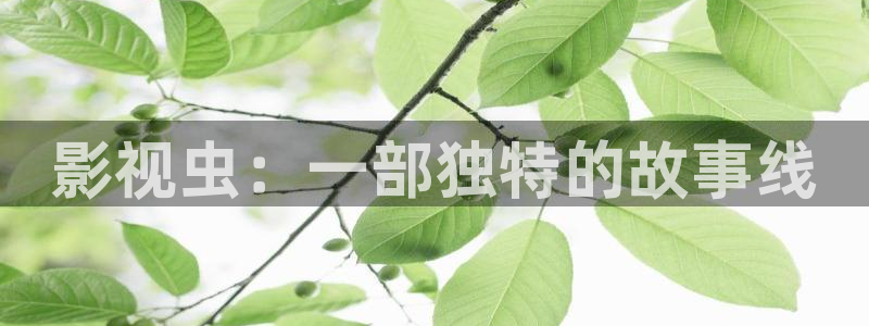 保利电影：影视虫：一部独特的故事线