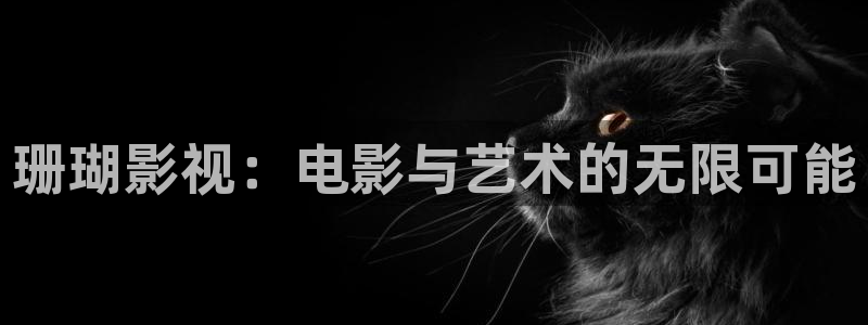汕尾保利电影院今日电影：珊瑚影视：电影与艺术的无限可能